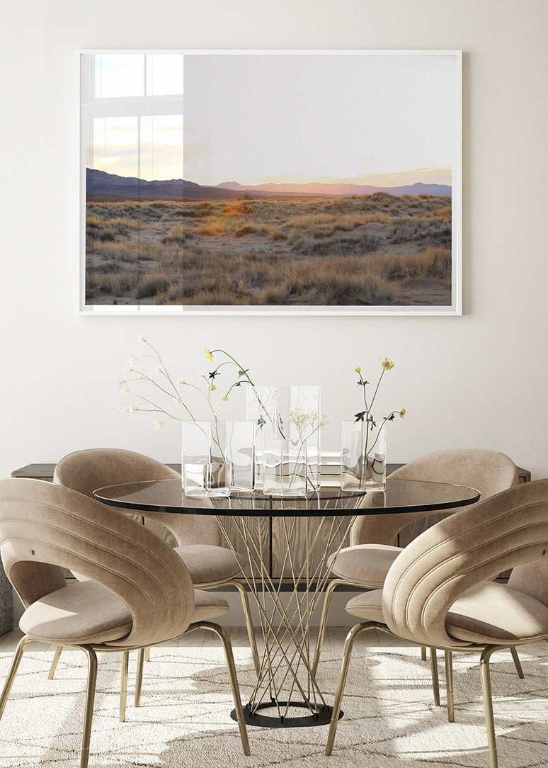 Mojave Grasses
