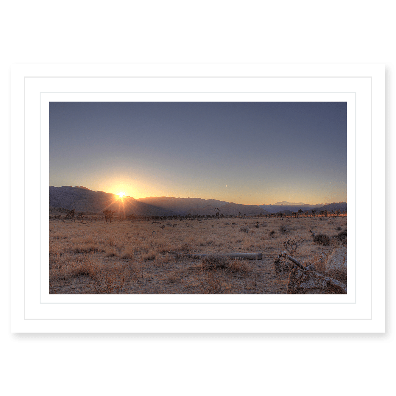 Joshua Tree Sunset