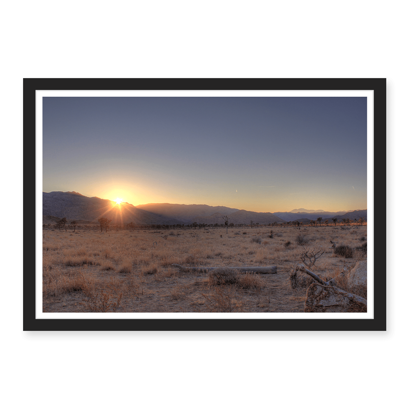 Joshua Tree Sunset