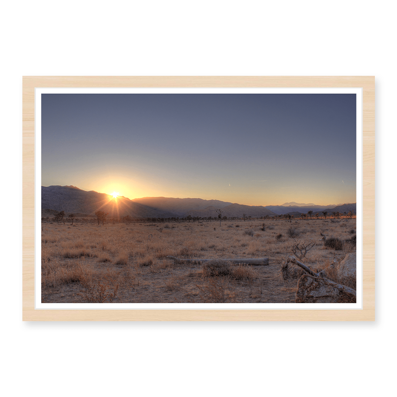 Joshua Tree Sunset