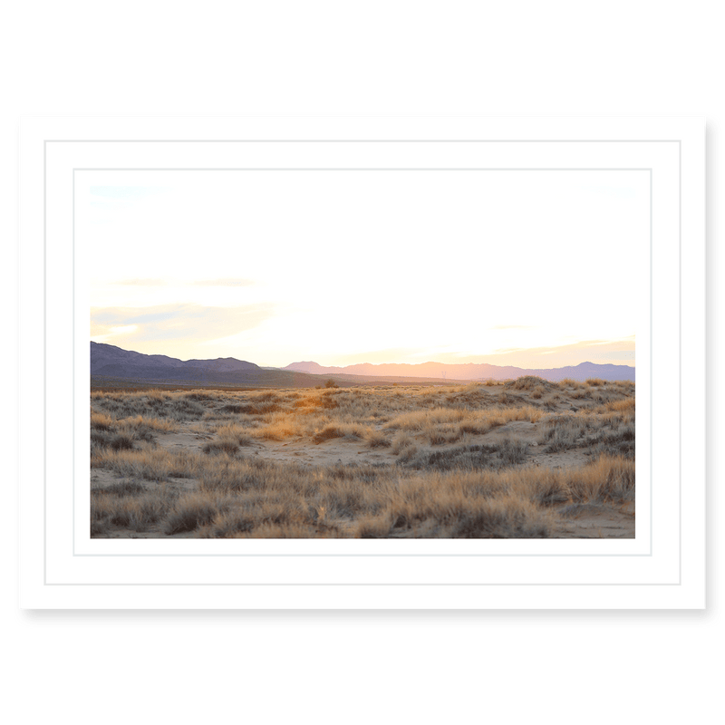 Mojave Grasses