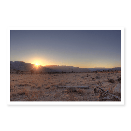 Joshua Tree Sunset