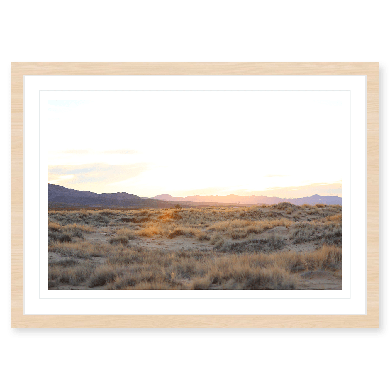 Mojave Grasses