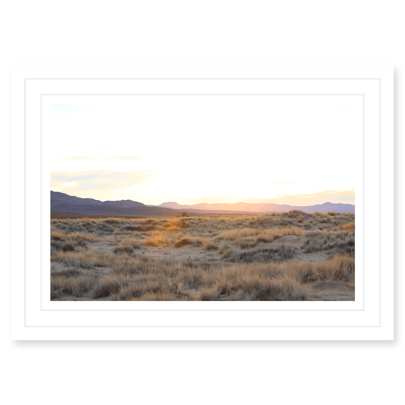 Mojave Grasses