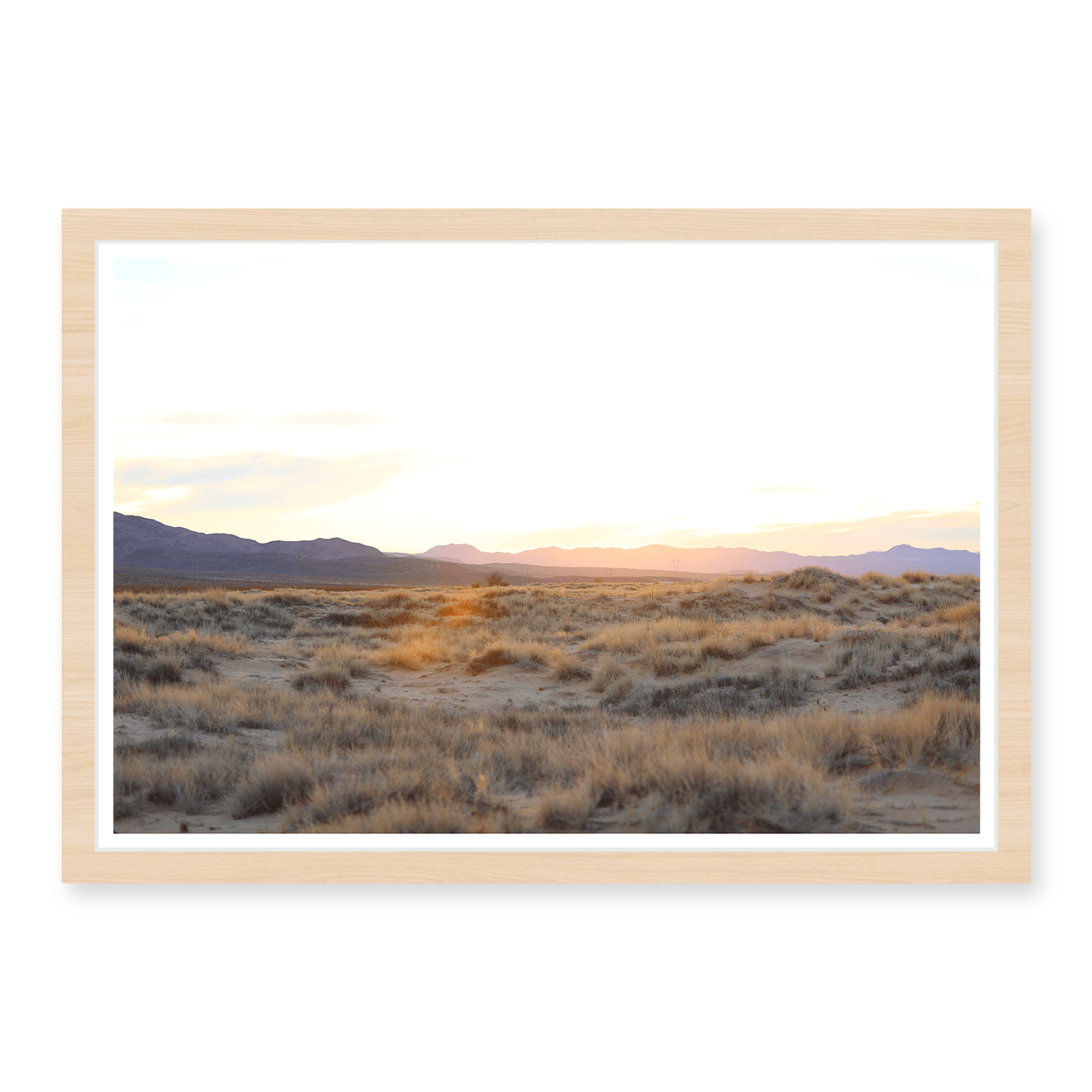 Mojave Grasses