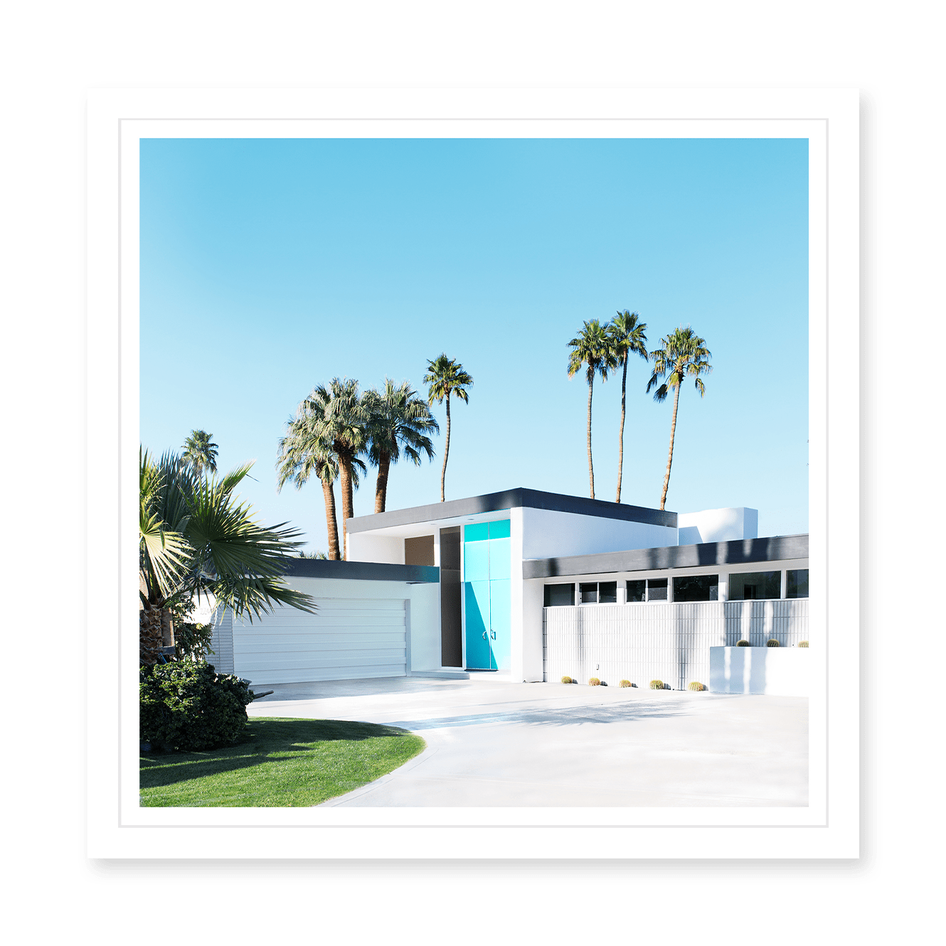 The Real Aqua Doors of Palm Springs